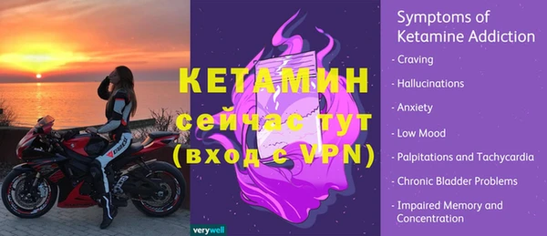 ECSTASY Бородино