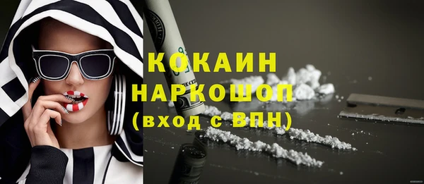 ECSTASY Бородино