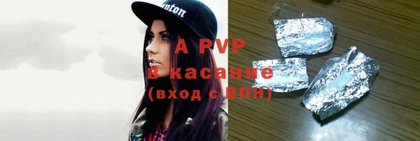 ECSTASY Бородино