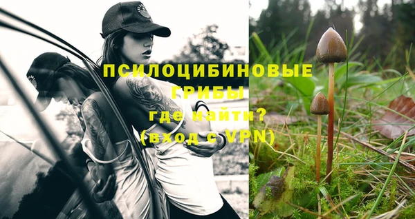 ECSTASY Бородино