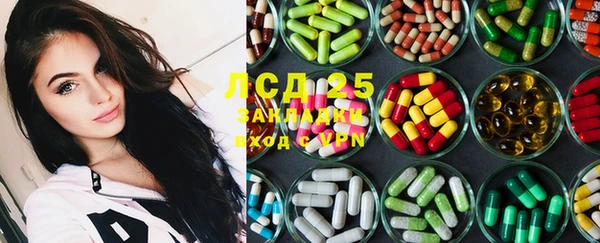 ECSTASY Бородино