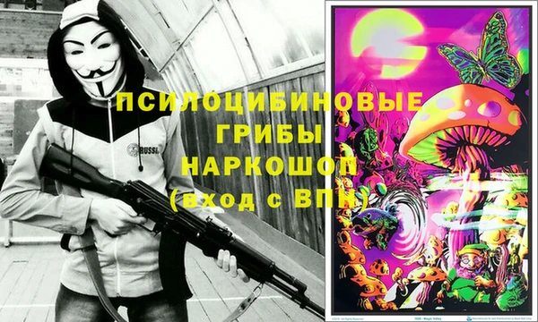 дурь Бронницы