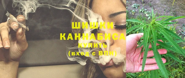 ECSTASY Бородино