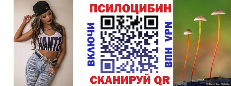 Псилоцибиновые грибы Psilocybine cubensis  цена   Комсомольск 